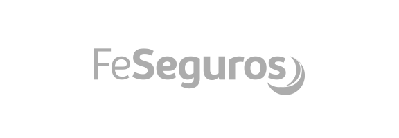 Feseguros Logo